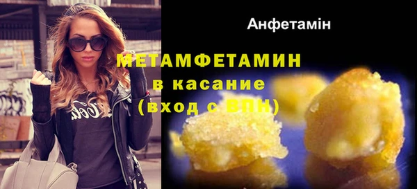 сатива Великий Новгород