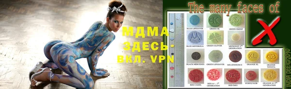 индика Архангельск