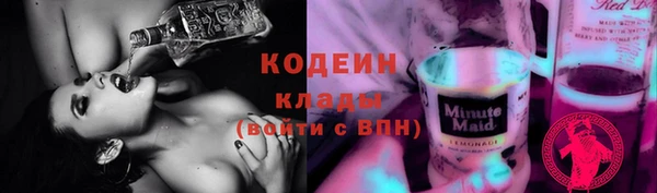 гашик Ладушкин