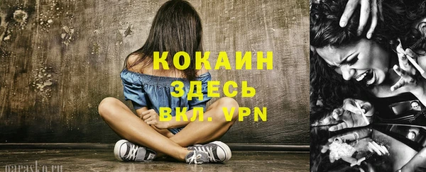 гашик Ладушкин
