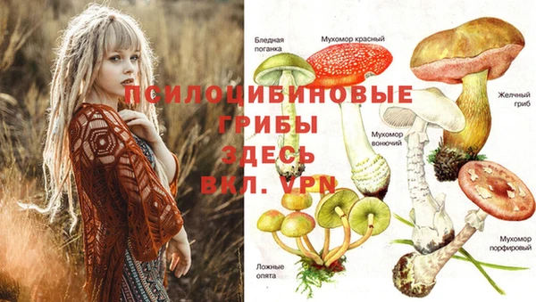 молекула духа Липки