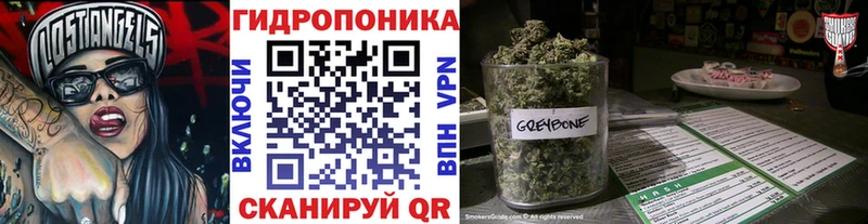 Бошки Шишки Amnesia  закладка  Малая Вишера 